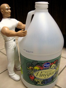 vinegar 225x300 31 secret uses for vinegar
