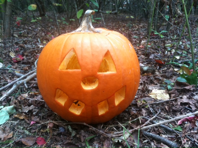 Pumpkin carving ideas for Halloween 2012