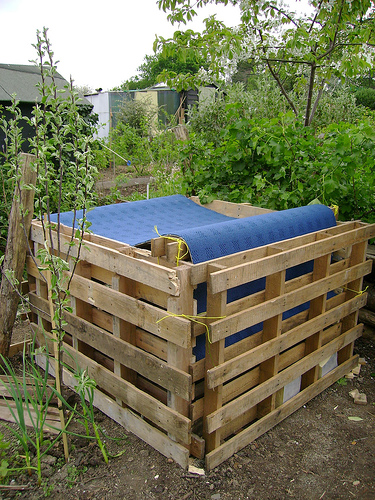 London Permaculture / Flickr