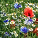 Via Shutterstock