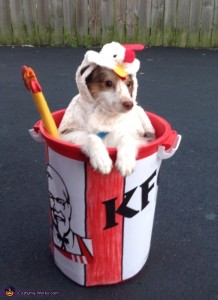 Bucket o' Chicken by Costume Works