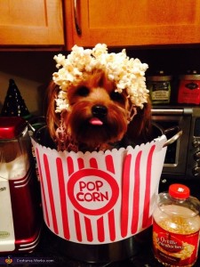 Pup Corn via Costume Works