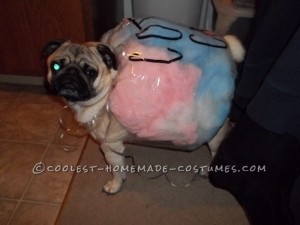 Cotton Candy via Coolest Homemade Costumes