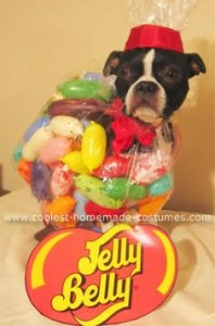 Jelly Beans via Coolest Pet Costumes