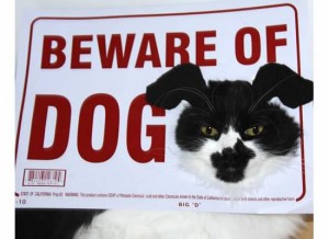 Beware of Dog Costume