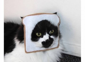 Breaded Cat Costume