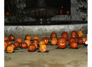 Cluster o' pumpkins