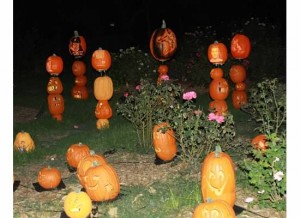 Pumpkins illuminated
