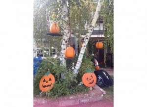 Hanging Pumpkins 2
