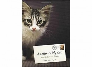 A Letter to My Cat