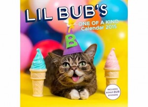Lil Bub's One of a Kind Calendar