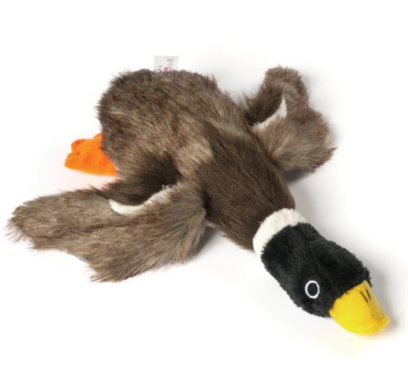 mallard dog toy