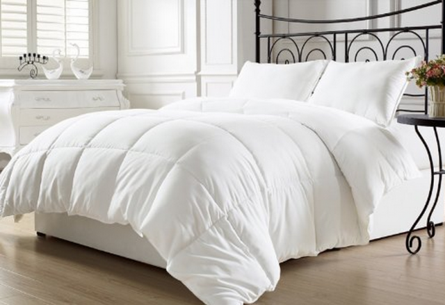 Chezmoi Collection White Goose Down Alternative King Size