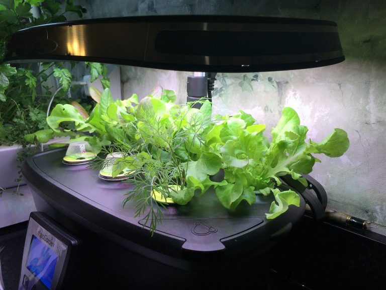 Easy Gardening with AeroGarden: No Need for a Green Thumb