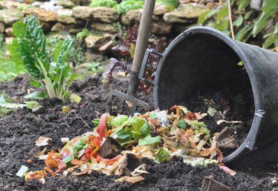 Image result for compost at FIT