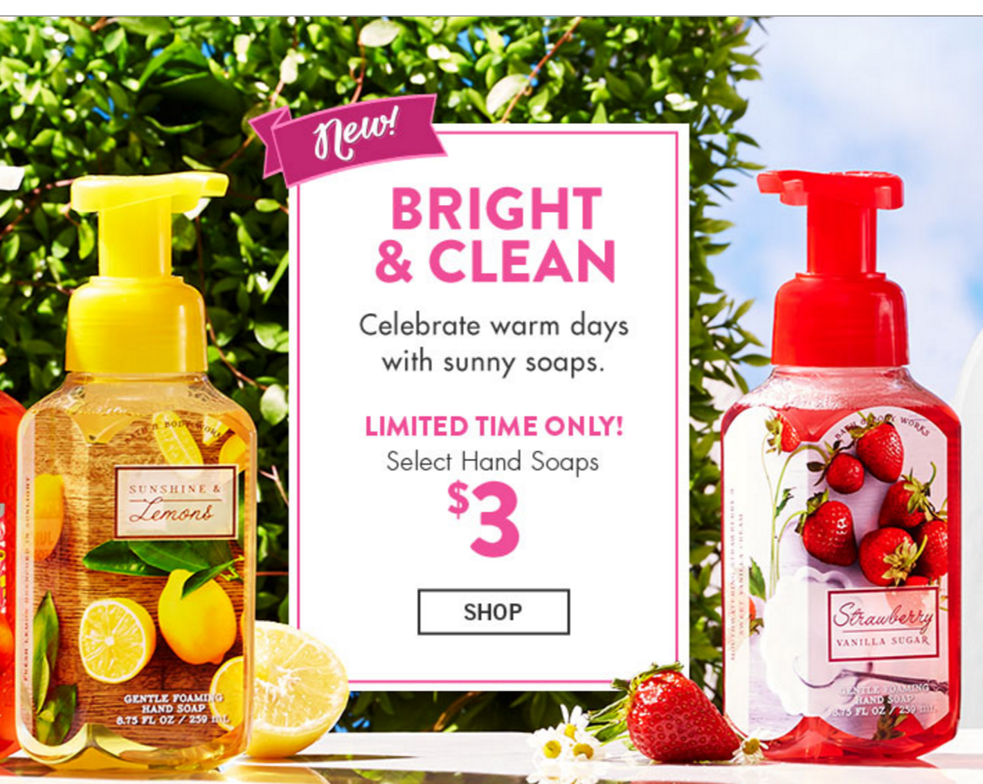 Bath & Body Works 3 Hand Soaps + 6 Wallflowers 2Pack Refills!