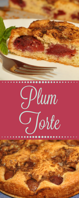 This delicious Plum Torte is deceptively simple. With just a few ingredients and little prep time, this is sure to become a summer favorite!