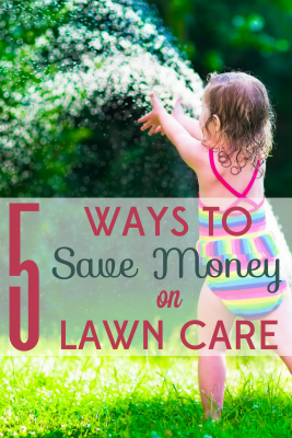 Spring is coming . . . is your lawn ready? We've got tips for getting your yard prepped for the new season without spending a lot of green.