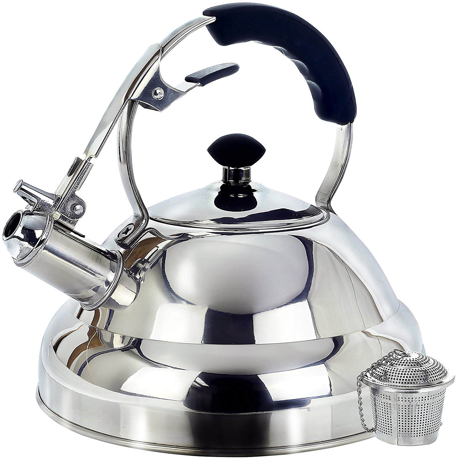 willow-everett-surgical-whistling-tea-kettle-31-99