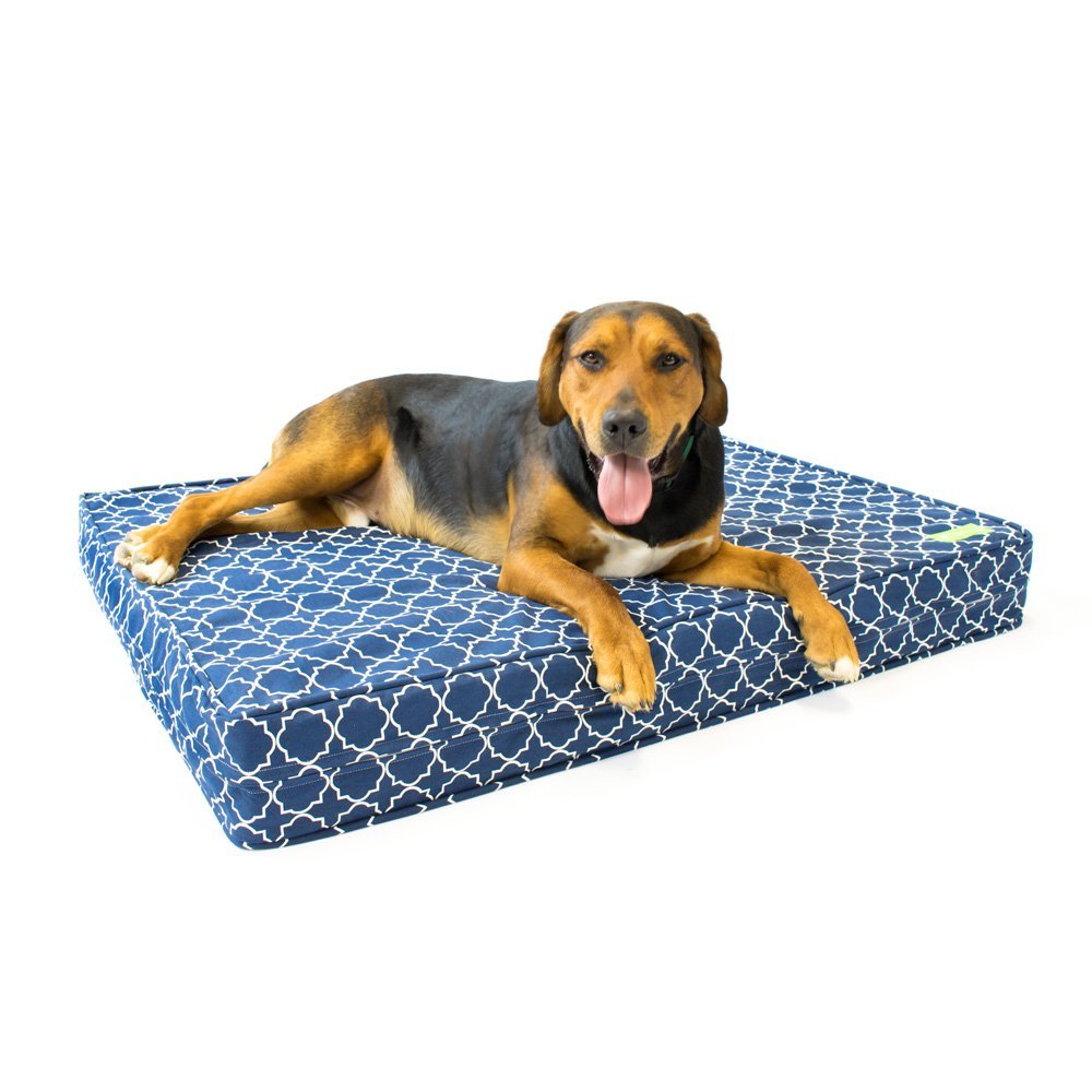 Save 25 on Orthopedic Made In the USA Dog Beds!