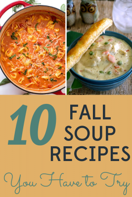 It's finally fall and we are ready for soup! We've got 10 easy, healthy, and frugal fall soup recipes to welcome the cooler weather.