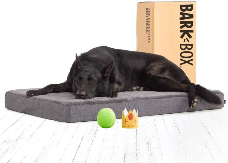 Save up to 53 on BarkBox Dog Beds