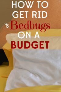 Yes, it is possible to get rid of bedbugs on a budget! Don't pay for pricey exterminators when there's a natural and cheap alternative. 