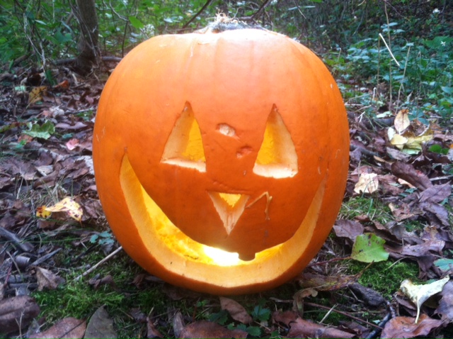 Pumpkin carving ideas for Halloween 2012