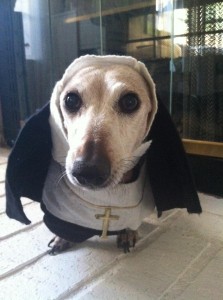 Sister Mary Daisy in her Nun Costume