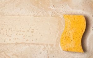 Sponges-shutterstock_109239731 (1) copy