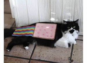 Nyan Cat Costume