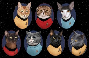 Star Trek Cats by Jenny Parks