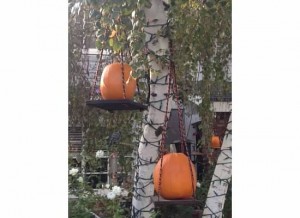 Hanging pumpkins