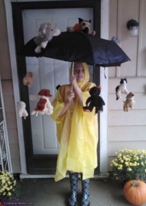 Raining cats and dogs costume