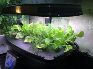 easy gardening with aerogarden