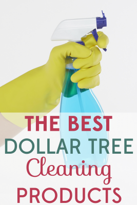 The only thing worse than cleaning is having to spend money on cleaning supplies. That's why I save by using Dollar Tree cleaning products. 