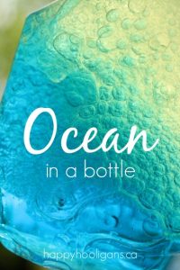 Ocean-in-a-bottle