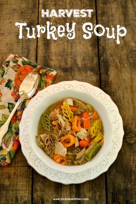 harvest-turkey-soup-2