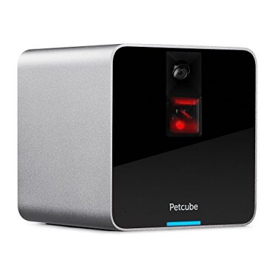 petcube