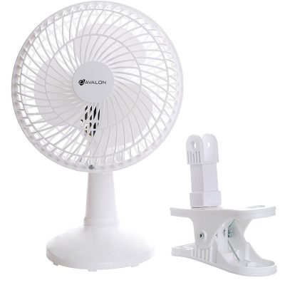 fan