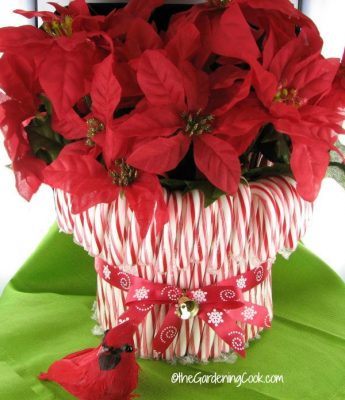 candycanevase1Bring in the holiday spirit with these cheap and easy (and pretty!) Dollar Tree decor ideas! No one will ever guess how little you spent!