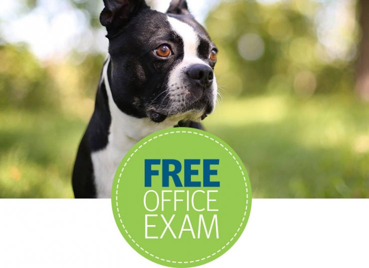 Thursday FreebiesFree Banfield Pet Hospital Office Visit & Consultation