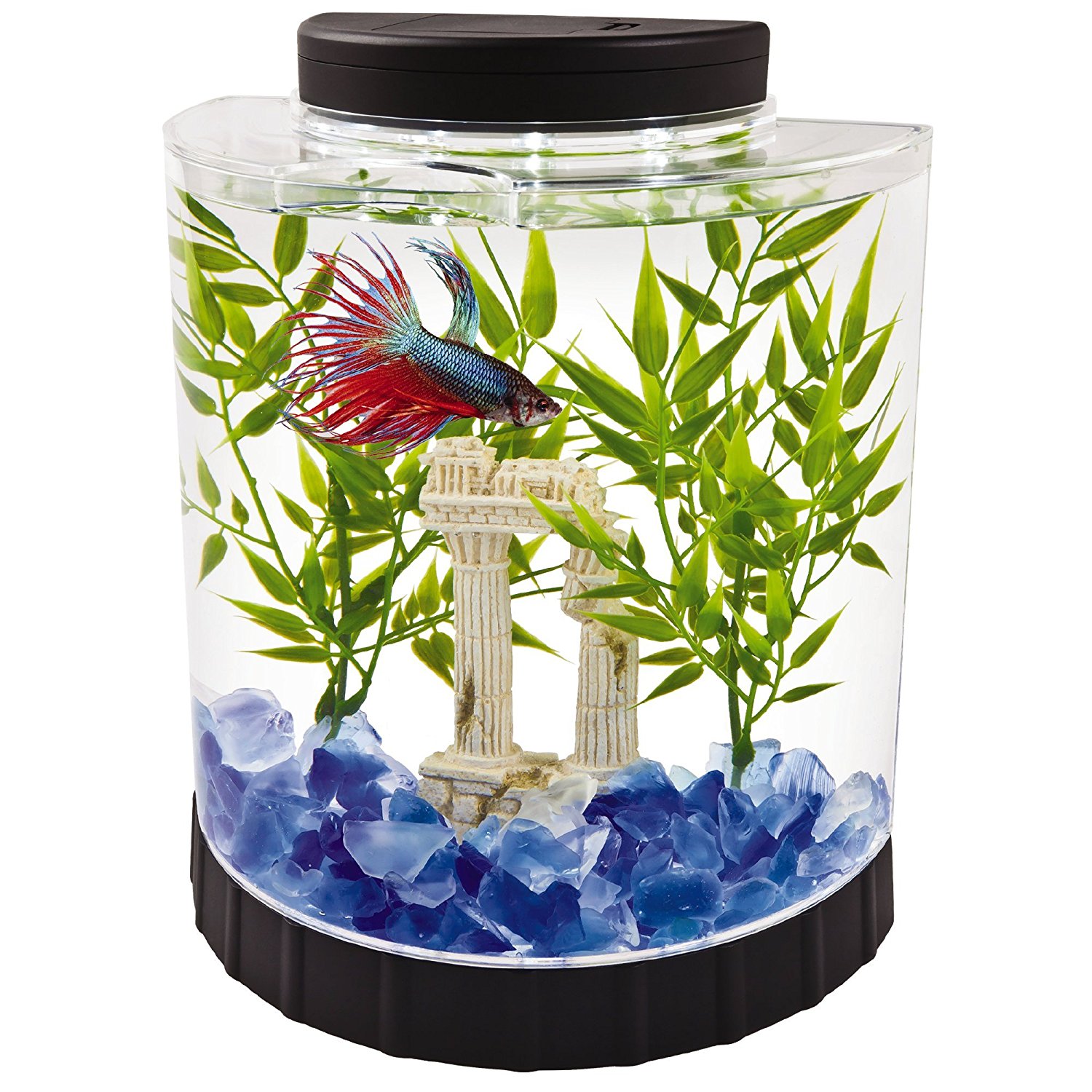 Tetra LED Half Moon Betta  Aquarium Betta  Fish Tank 29049 