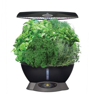 aerogarden