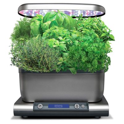 aerogarden