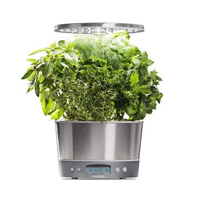 aerogarden