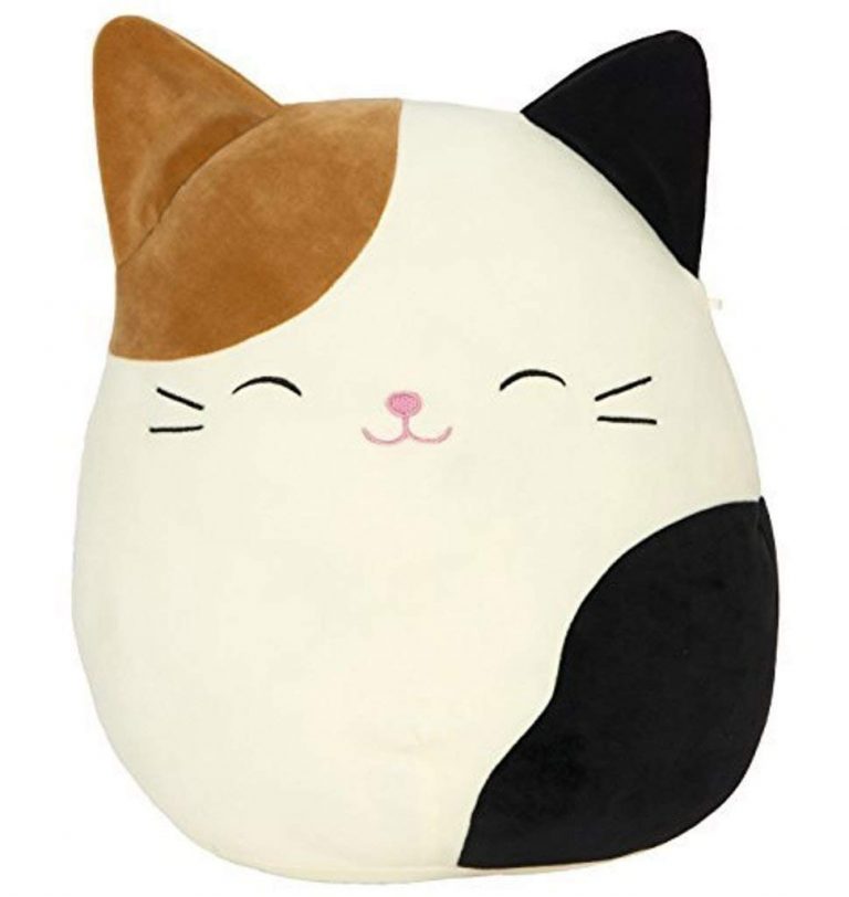 frank the cat squishmallow