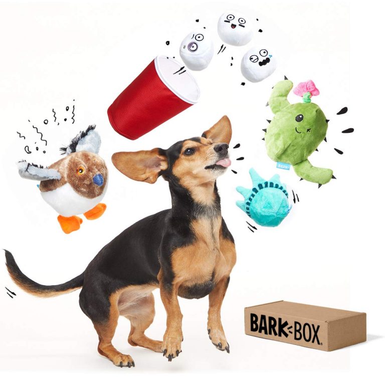 BarkBox Best of Box Plush Toy Bundle for Small, Medium, and Large Dogs