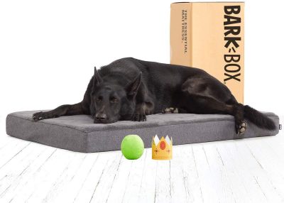 barkbox