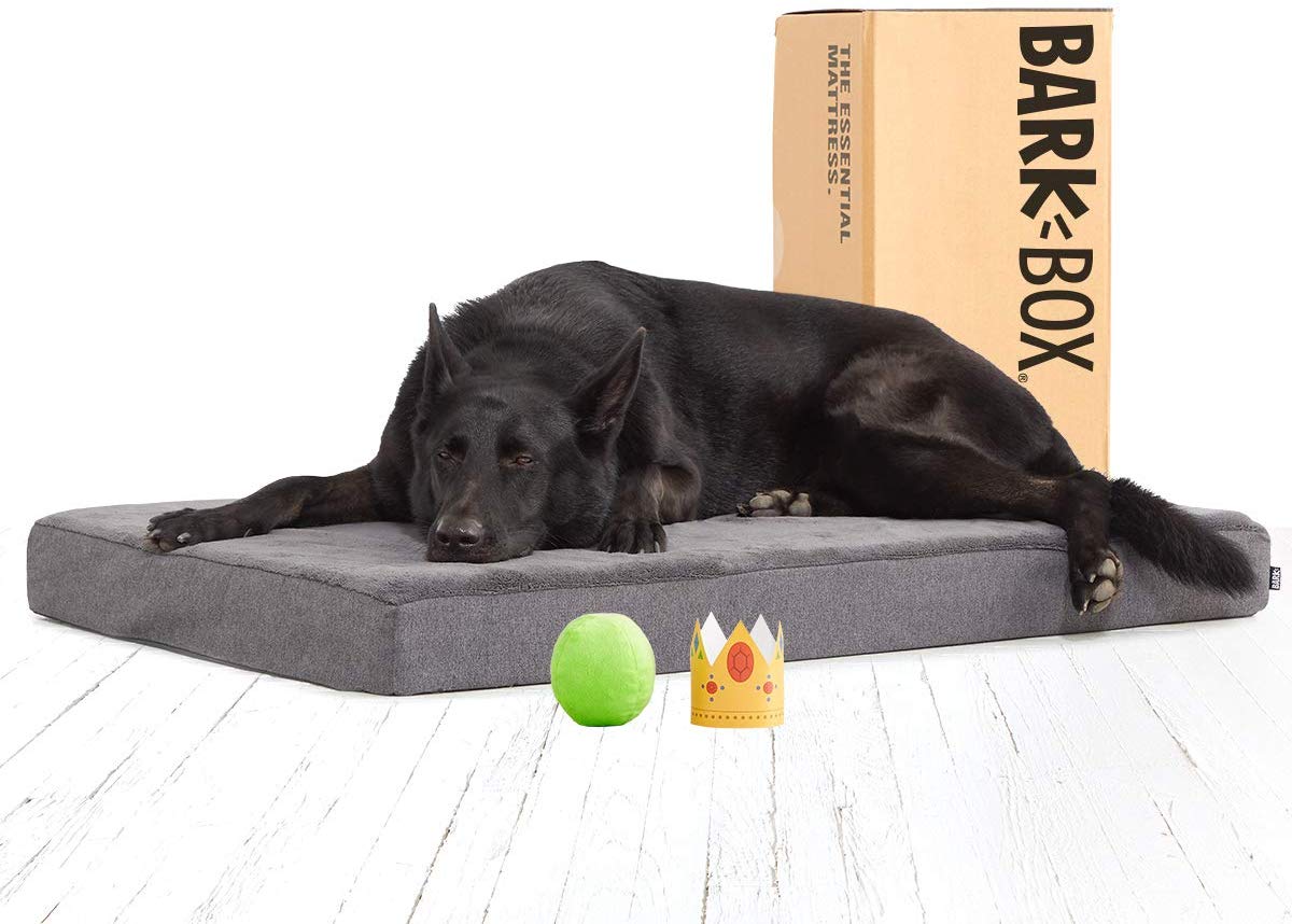 Save up to 53% on BarkBox Dog Beds